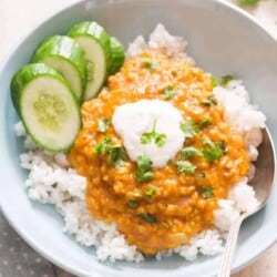 red lentil curry served over bowl of rice and garnish with cilantro