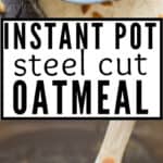 instant pot steel cut oats served with fruits and berries in ceramic bowls with text