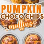 chocolate chip pumpkin muffins on muffin tins with text overlay