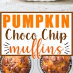 chocolate chip pumpkin muffins on muffin tins with text overlay