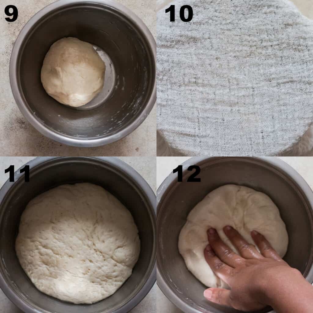 Step-by-step picture collage of resting dough for a pretzel.