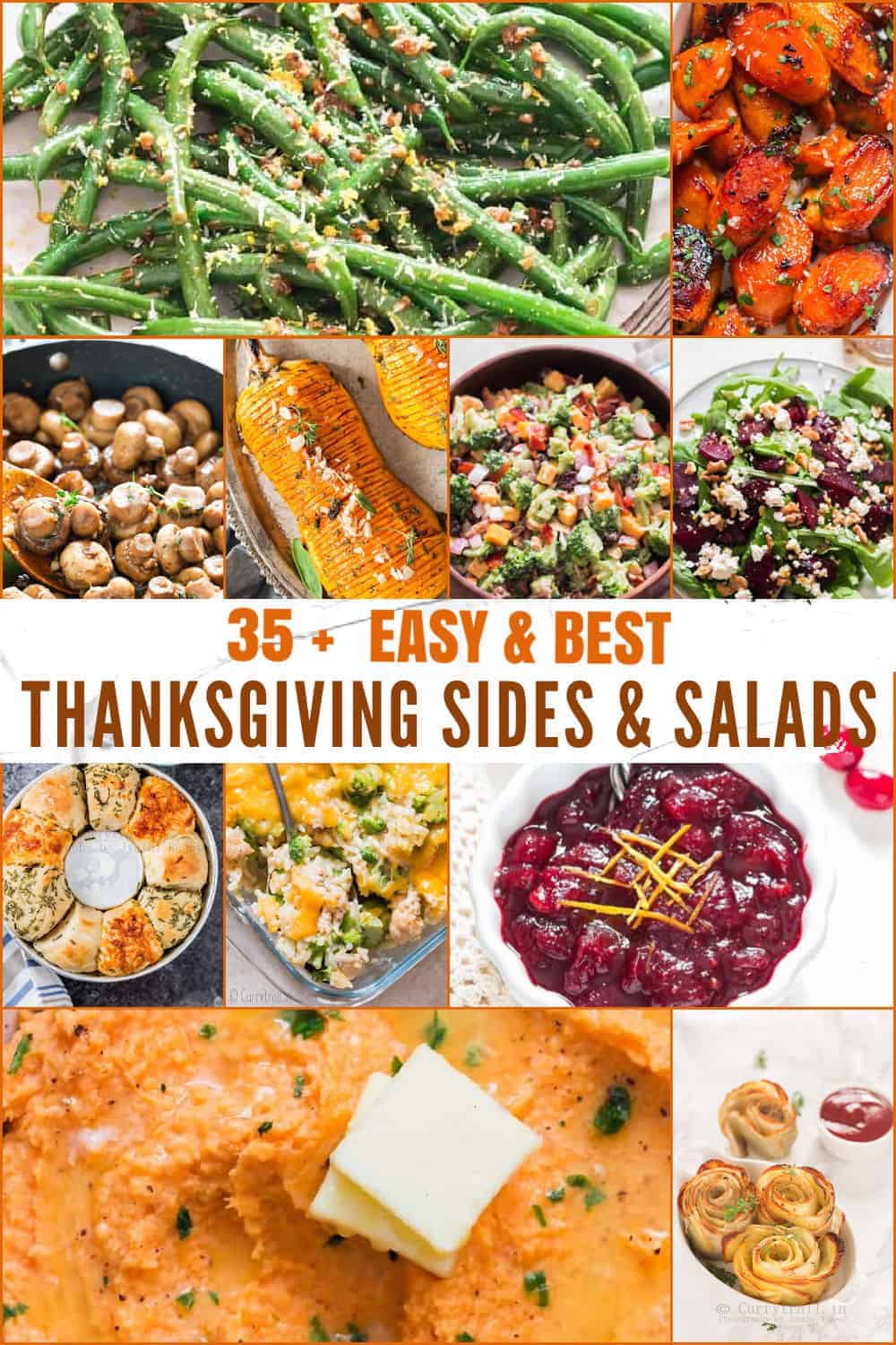 Phoenix zoo thanksgiving hours