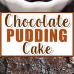 fudgy hot chocolate pudding cake with two scoops vanilla ice cream on top in white ceramic bowl with text