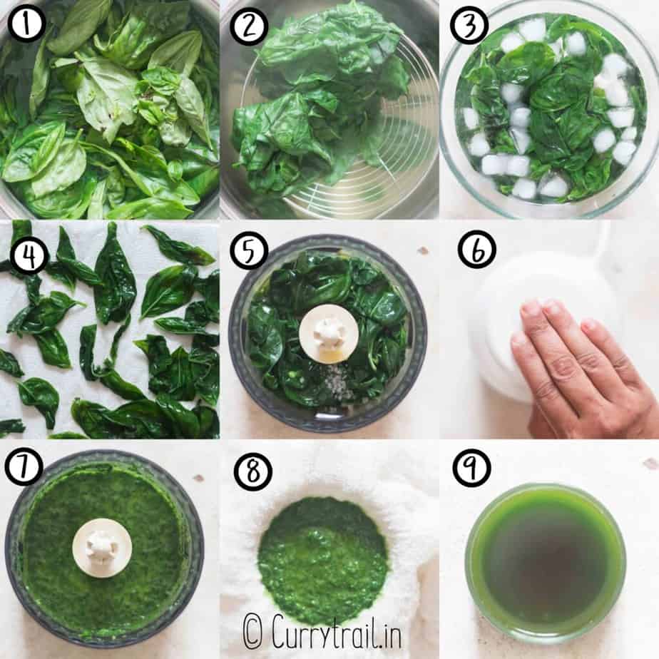 step by step picture collage of basil infused oil