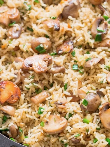 close view of mushroom rice