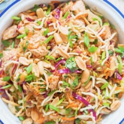 close view of Asian chicken salad