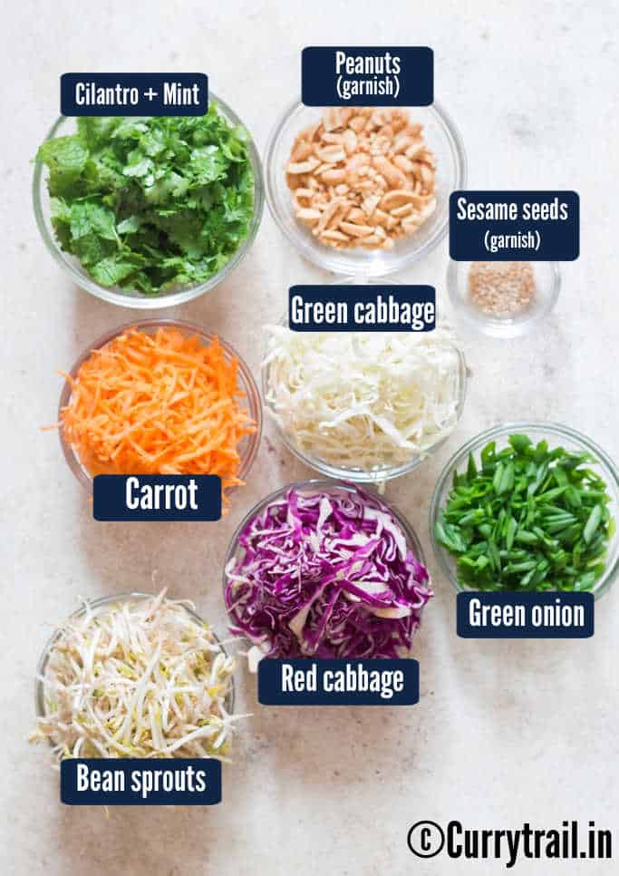 all ingredients for Asian coleslaw