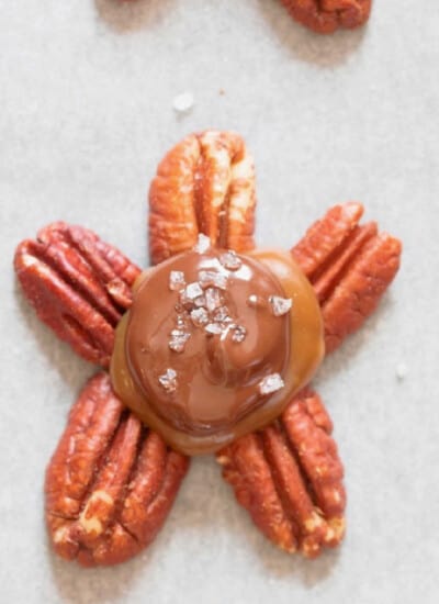 close view of turtle chocolate