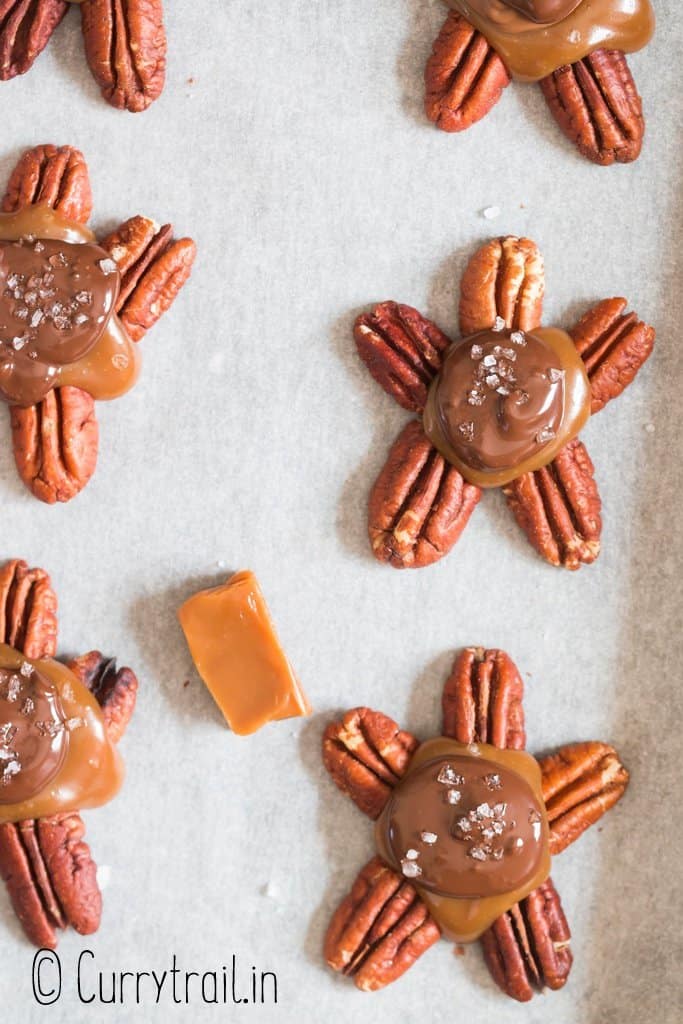 close view of chocolate turtle