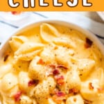shell pasta with cheddar cheese