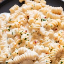 pasta in garlic cream sauce