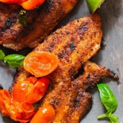 close view of tilapia grilled to perfection served with blistered tomatoes