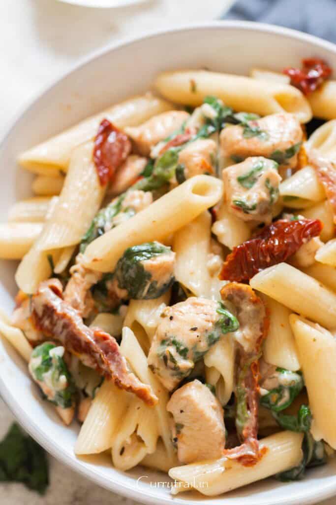 close up view of chicken pasta with sun dried tomatoes