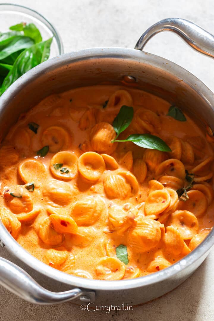 Spicy Vodka Pasta - Curry Trail