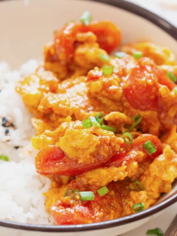 close view of egg and tomato stir fry with rice