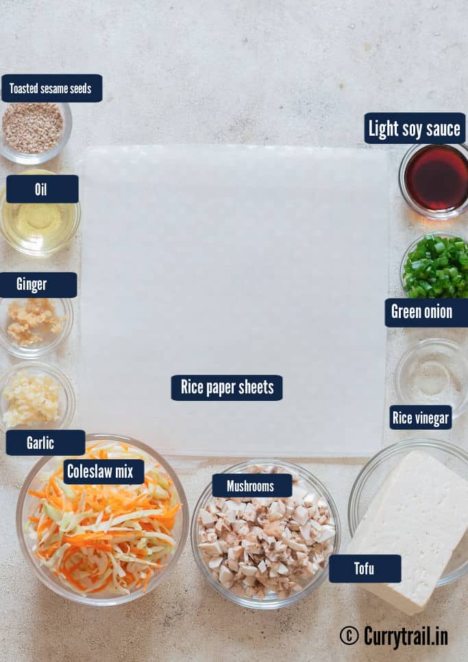 all ingredients for dumplings with rice paper