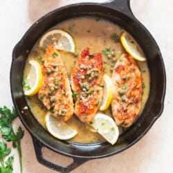 chicken piccata with lemon butter sauce