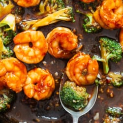close up view of shrimp broccoli stir fry