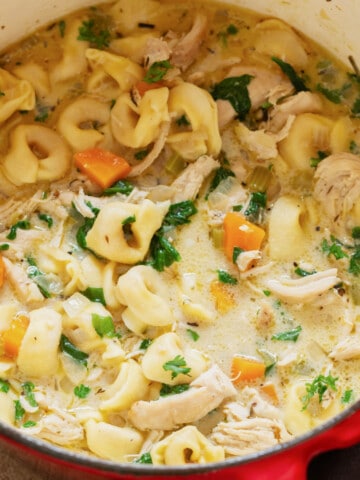 close up view of tortellini chicken soup in pot