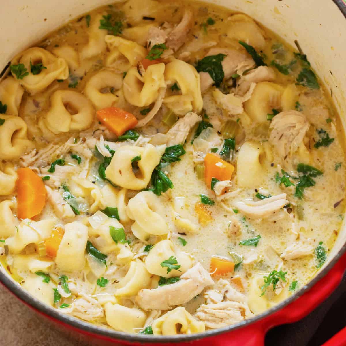 Easy Creamy Chicken Tortellini Soup Curry Trail what-size-is-6k-in-adidas-shoe-effect