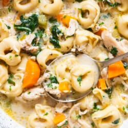creamy chicken soup with tortellini pasta