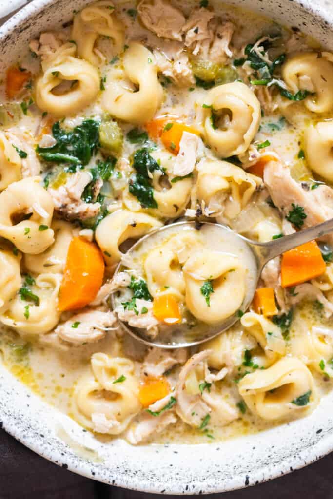 creamy chicken soup with tortellini pasta