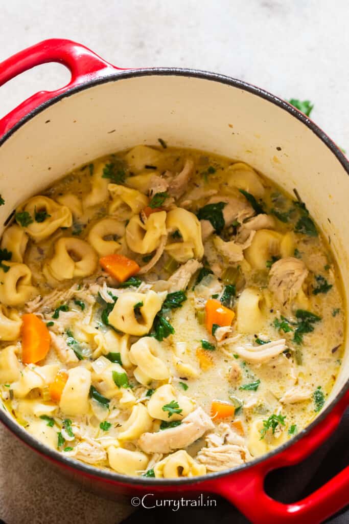 creamy chicken soup with tortellini pasta