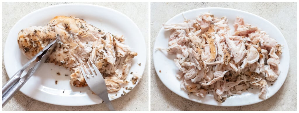 shred seared chicken