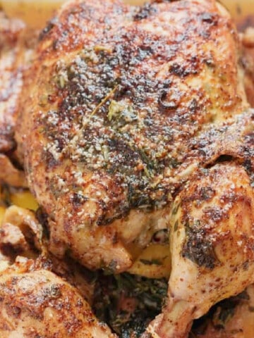 close-up view of pressure-cooked whole chicken with spices, herbs, and butter.