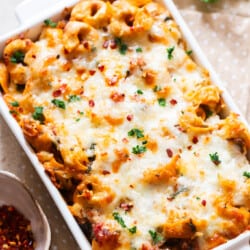 melted cheesy baked tortellini in white casserole dish.