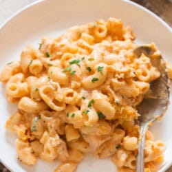 creamy mac and cheese with buffalo chicken.