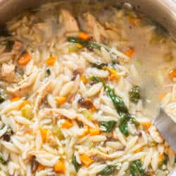 chicken orzo soup in a pot.