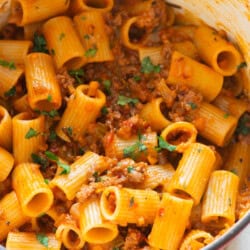 lamb bolognese in Dutch oven.
