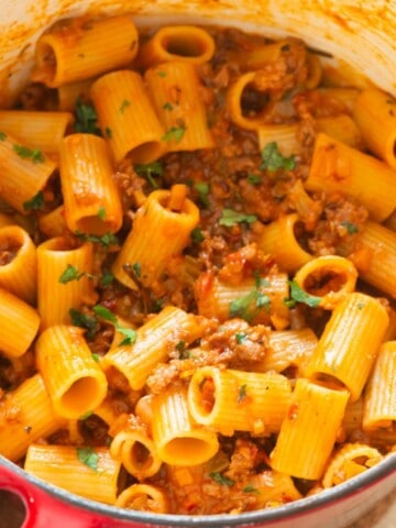 rigatoni pasta in lamb bolognese sauce.