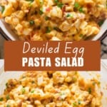 pasta salad with deviled eggs filling.