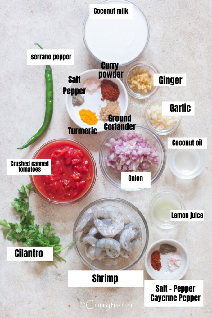 all ingredients for coconut shrimp curry arranged on the table.