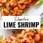 pan grilled cilantro lime shrimp on a plate with text.