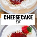 berry jam and cracker topping added over a bowl of creamy sweet dip with cheesecake flavors.