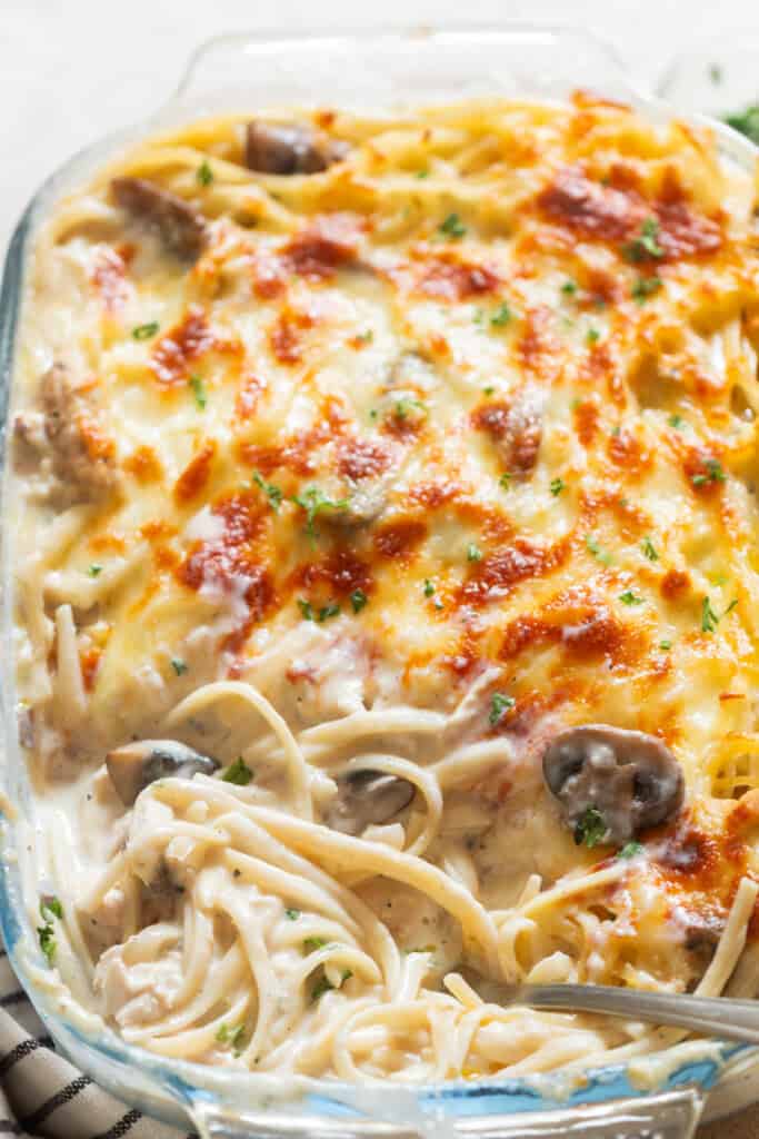 baked creamy chicken tetrazzini pasta in a baking dish.