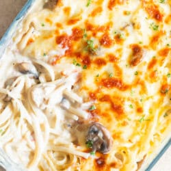 creamy chicken linguine pasta baked with mozzarella cheese.